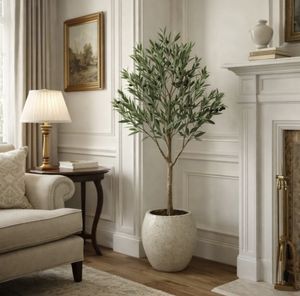 Hovedbilde Olive Tree with Leaves 140cm