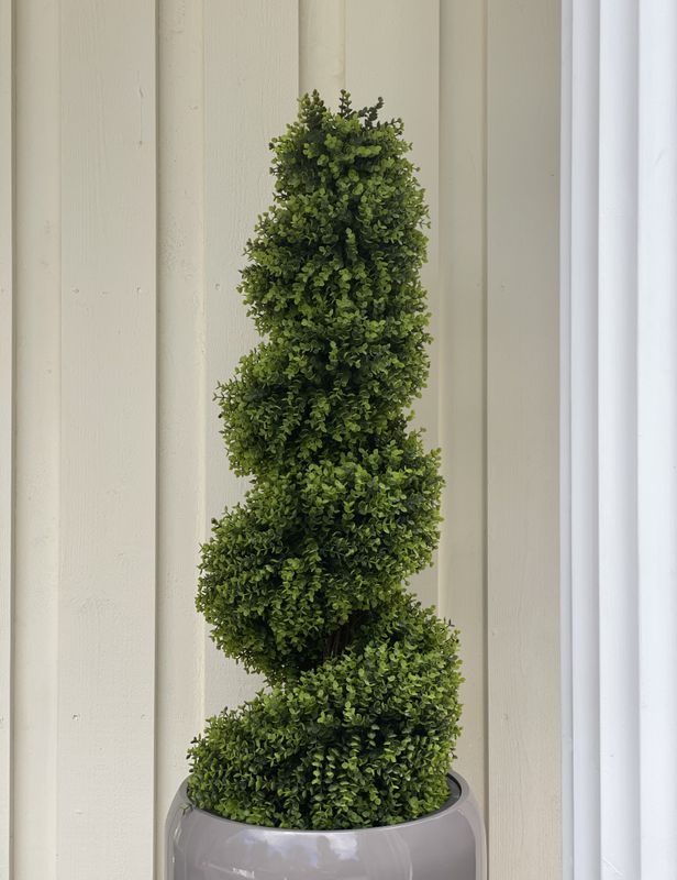  Spiral Buxbom H:120cm